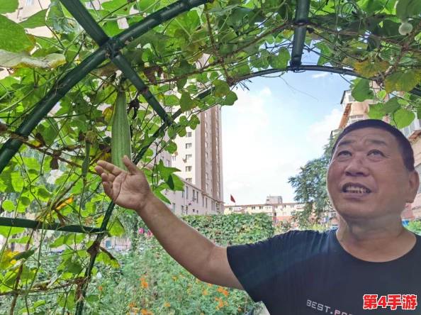 小花园想夹东西怎么办？教你几招轻松解决问题，打造更美好的小空间！