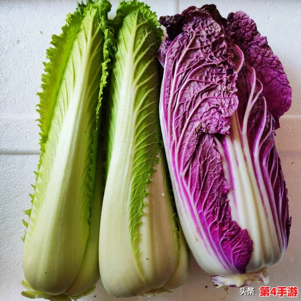 把萝卜不盖被子:这道菜的独特风味让人惊艳,值得一试! 把萝卜不盖被子:这道菜的独特风味让人惊艳,值得一试!