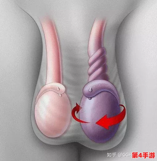 怎么玩睾丸无害但痛?了解这些技巧让你体验更安全的乐趣与刺激! 怎么玩睾丸无害但痛?了解这些技巧让你体验更安全的乐趣与刺激!
