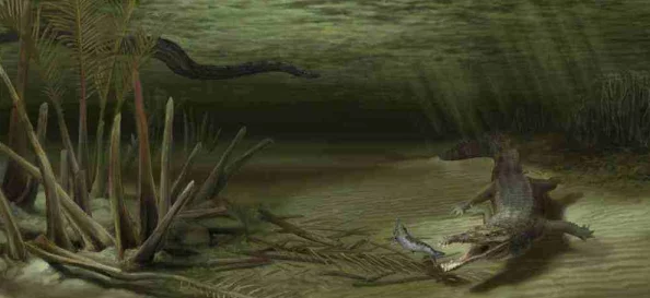 XAX MANTA UZUN HAYA背景：探寻古老传说中的神秘生物