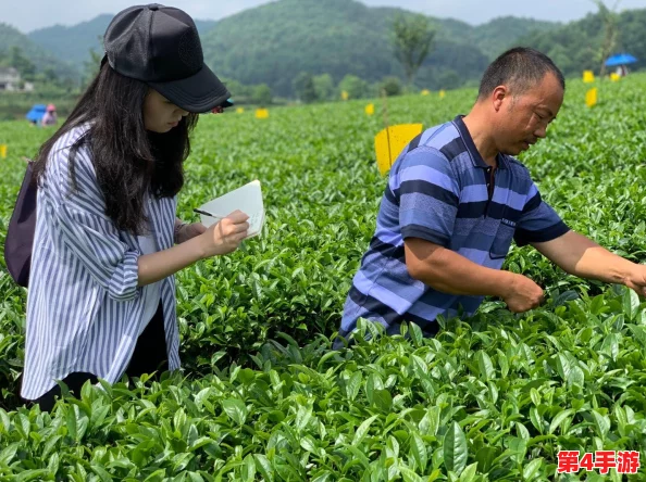 一小孩和妈妈在田野里快乐地摘萝卜(黄),幸福的画面让人感到温馨愉悦 一小孩和妈妈在田野里快乐地摘萝卜(黄),幸福的画面让人感到温馨愉悦