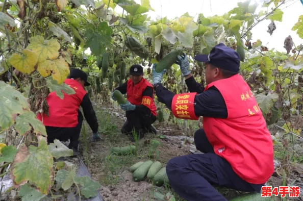 一小孩和妈妈在田野里快乐地摘萝卜(黄),幸福的画面让人感到温馨愉悦 一小孩和妈妈在田野里快乐地摘萝卜(黄),幸福的画面让人感到温馨愉悦