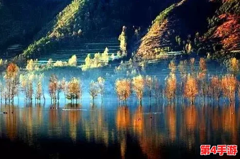 水边之夜未增减板:在宁静的湖畔感受自然与心灵的交融与启迪 水边之夜未增减板:在宁静的湖畔感受自然与心灵的交融与启迪