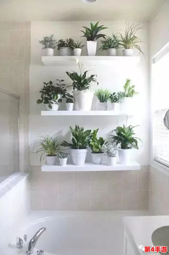 老公说我的小花园是甜的,朋友们都说她的绿植养得真好,让人心情愉悦! 老公说我的小花园是甜的,朋友们都说她的绿植养得真好,让人心情愉悦!