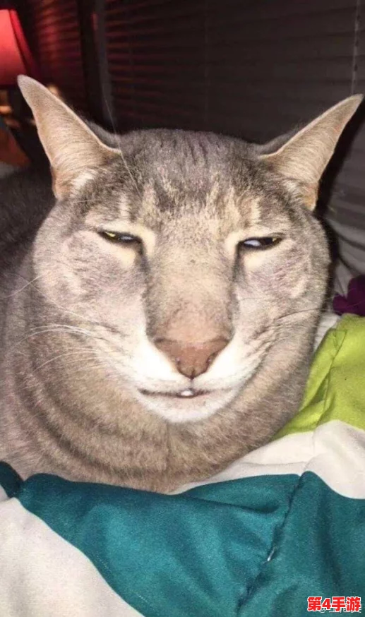 知更鸟翻白眼流眼泪流口水:众网友热议其可爱表情,纷纷表示“太真实了,直击心灵” 知更鸟翻白眼流眼泪流口水:众网友热议其可爱表情,纷纷表示“太真实了,直击心灵”