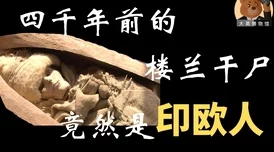 理解Chinese儒雅老头互吃的深层含义与文化背景，揭示其背后的趣味与智慧