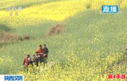 多人添荫蒂弄花蒂,感受自然之美与人文情怀的交融与碰撞 多人添荫蒂弄花蒂,感受自然之美与人文情怀的交融与碰撞