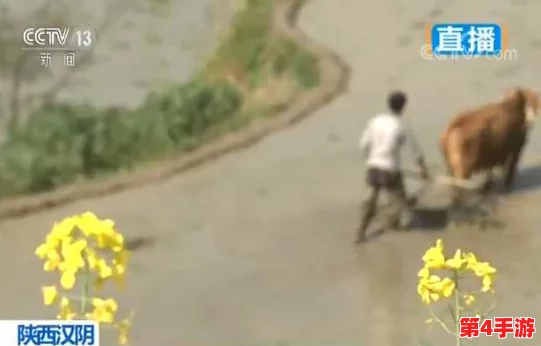 多人添荫蒂弄花蒂,感受自然之美与人文情怀的交融与碰撞 多人添荫蒂弄花蒂,感受自然之美与人文情怀的交融与碰撞