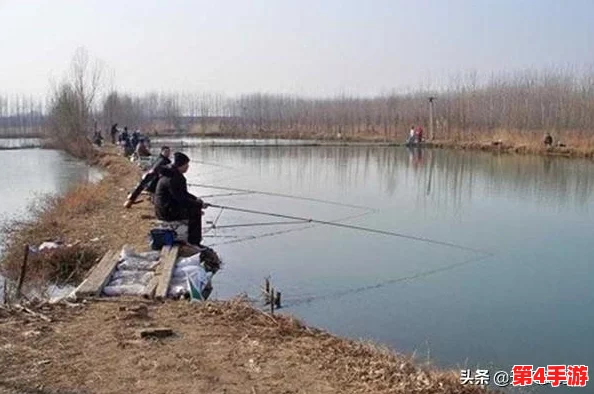 爽 好多水 快 深点软件：如何选择适合自己的深度学习软件？