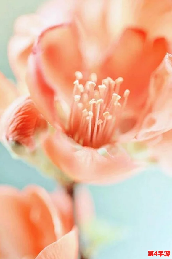 动漫人物被c，展现了角色深层次的情感冲突与成长历程，令人深思的作品分析与评论合集