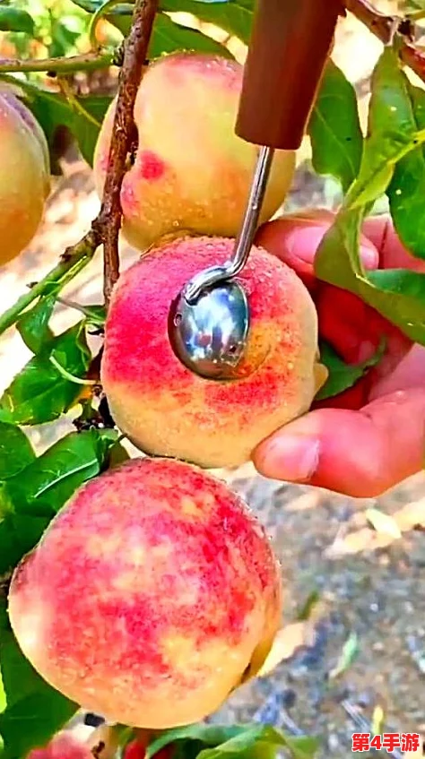 科学探索:坤坤插进桃子里背后的神奇自然现象解读 科学探索:坤坤插进桃子里背后的神奇自然现象解读