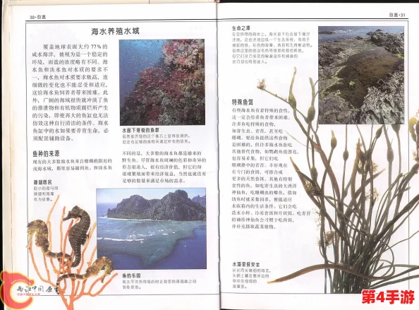 探索南国度假岛梦幻之旅:全方位景点图鉴与旅行指南精编大全 探索南国度假岛梦幻之旅:全方位景点图鉴与旅行指南精编大全