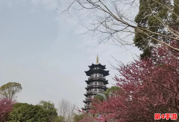 地铁逃生新纪元:揭秘霸王龙出没的神秘模式,挑战极限生存策略! 地铁逃生新纪元:揭秘霸王龙出没的神秘模式,挑战极限生存策略!