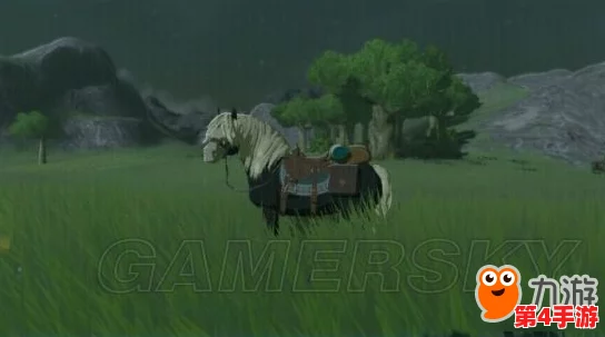 《塞尔达传说》中寻觅：探秘极品战马隐秘栖息地与获取策略