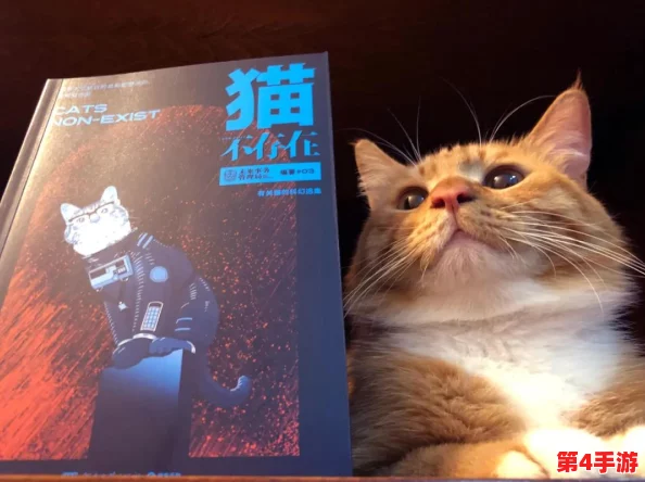 探索麦芬猫猫包的奇幻之旅：全方位功能玩法指南与创意使用秘籍大公开