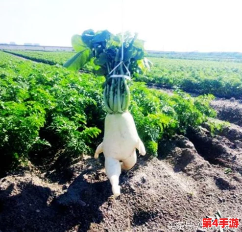 光腿拔萝卜:网友热议“这标题太有趣了,真想看看是怎么回事!” 光腿拔萝卜:网友热议“这标题太有趣了,真想看看是怎么回事!”