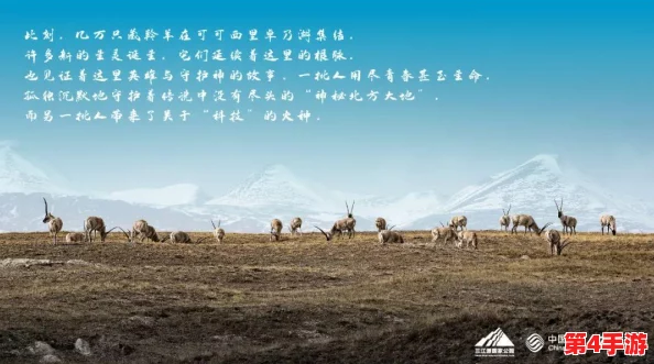 日产无人区一线二线三线2023：网友热议，期待更多创新与突破，未来出行将如何改变我们的生活？