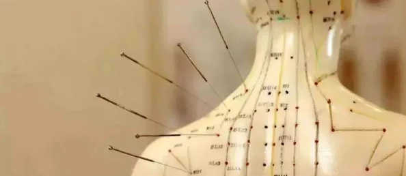 探索父亲康复之路：爸爸活下去的关键策略与痊愈条件全面指南