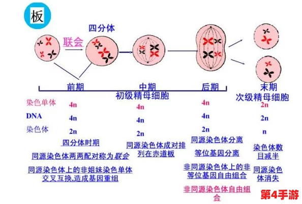 三叶草私人研究所的研究成果:揭示生物技术在可持续发展中的潜力与应用前景 三叶草私人研究所的研究成果:揭示生物技术在可持续发展中的潜力与应用前景