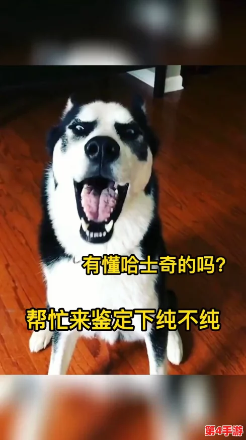 错一题下面查一支笔啊哈,用户评价:这款笔书写流畅,颜色鲜艳,非常满意! 错一题下面查一支笔啊哈,用户评价:这款笔书写流畅,颜色鲜艳,非常满意!