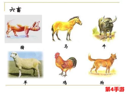 欧美人与牲禽动交com:探讨人类与动物之间复杂关系的文化现象及其在社会中的影响和争议 欧美人与牲禽动交com:探讨人类与动物之间复杂关系的文化现象及其在社会中的影响和争议