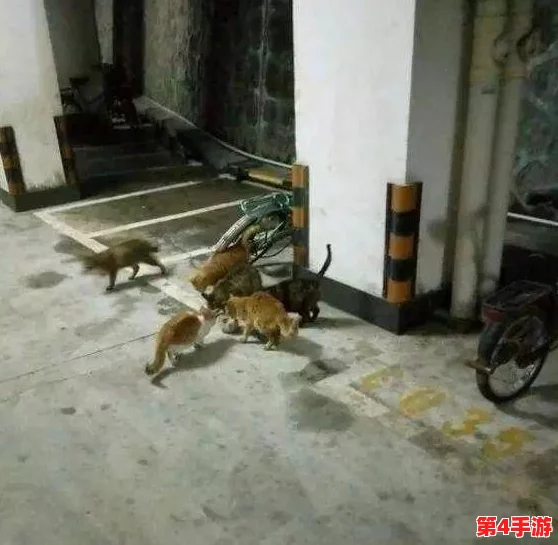 设计自己初次给七个流浪车库增添一抹亮色