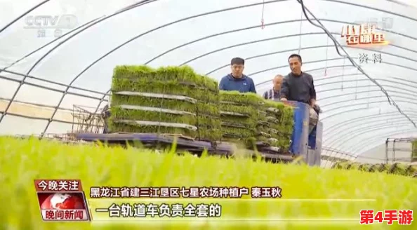 在美国,耕种妈妈肥沃的土地:探讨农业发展与家庭传承的故事 在美国,耕种妈妈肥沃的土地:探讨农业发展与家庭传承的故事