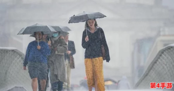 部长外勤中突然下大雨,日本城市的美丽瞬间与气候变化的挑战结合,引发深思与讨论 部长外勤中突然下大雨,日本城市的美丽瞬间与气候变化的挑战结合,引发深思与讨论