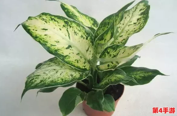 丰满多毛多水BBBBB:新研究显示,丰富的水分和营养对植物生长至关重要,助力生态平衡 丰满多毛多水BBBBB:新研究显示,丰富的水分和营养对植物生长至关重要,助力生态平衡