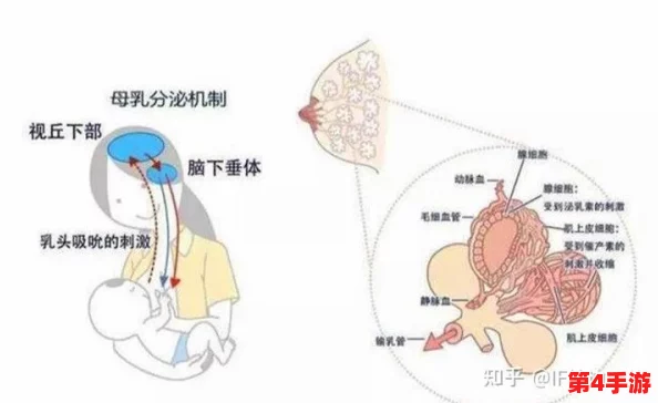老太奶性开放BBwBBw的多元文化背景与社会影响分析 老太奶性开放BBwBBw的多元文化背景与社会影响分析