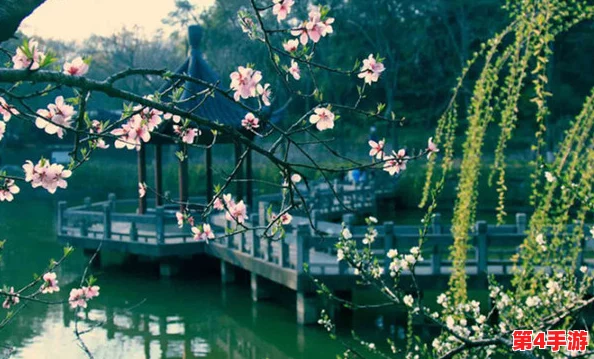 青柠视频:柳暗花明,又见春风 青柠视频:柳暗花明,又见春风