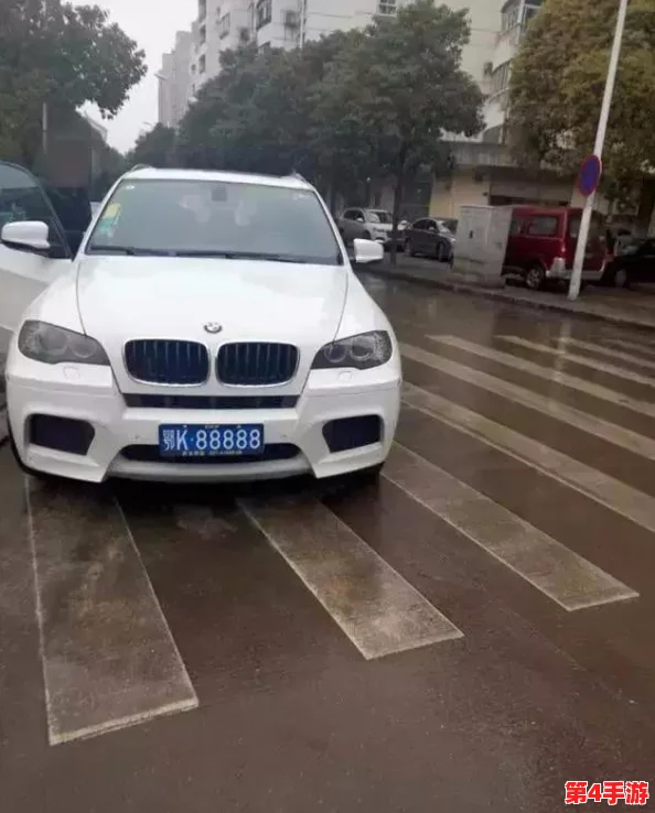 理解www.77777背后的意义与影响,揭示其在网络文化中的独特地位和作用 理解www.77777背后的意义与影响,揭示其在网络文化中的独特地位和作用