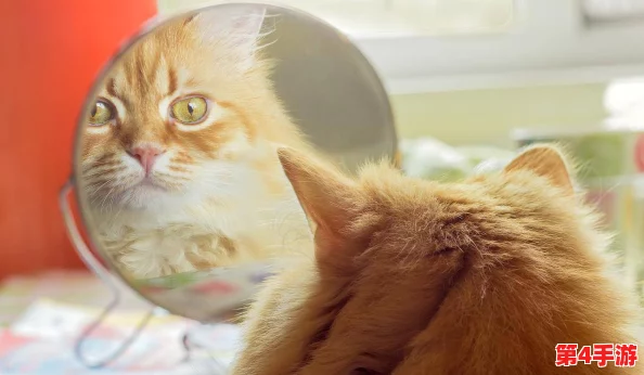 糖心柚子猫:新研究发现这种可爱猫咪的独特性格与其饮食习惯密切相关,吸引众多宠物爱好者关注 糖心柚子猫:新研究发现这种可爱猫咪的独特性格与其饮食习惯密切相关,吸引众多宠物爱好者关注