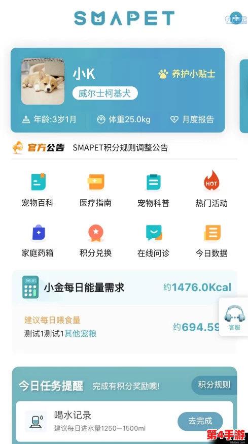 泡姆泡姆趣味无限：详细步骤教你轻松更换个性化造型，打造独一无二萌宠形象