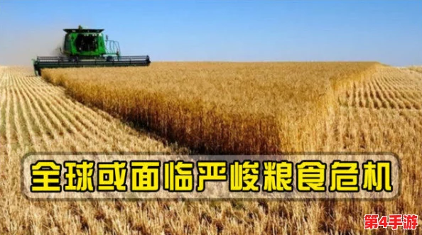 饥饿的阿：全球粮食危机加剧，联合国呼吁各国采取紧急措施应对饥荒挑战
