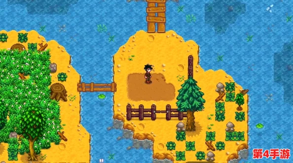 星露谷物语NS与PC版对比：便携性VS丰富内容，哪款更适合你？