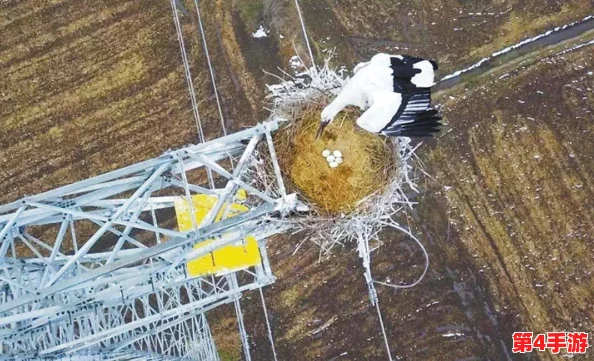三角洲行动：揭秘零号大坝密码门解锁策略，高效通关游戏攻略指南