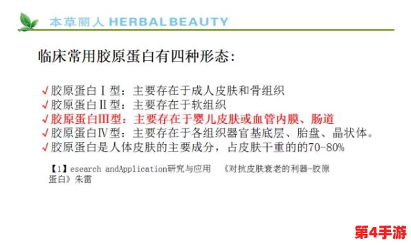 日韩AA合作新进展：两国在科技与文化领域的深度交流引发广泛关注