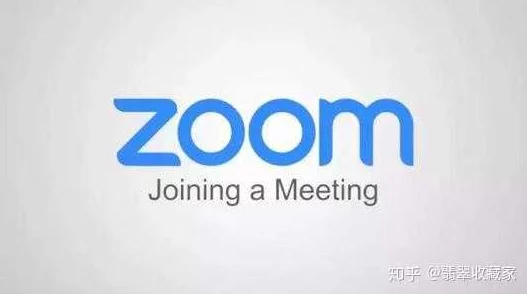 日本Zoom与国产Zoom对比：哪个更适合中国用户使用？