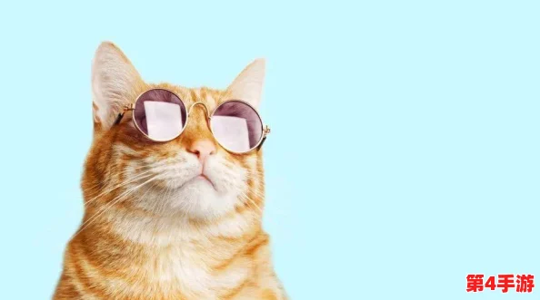 猫咪网最新地域网名是什么样的啊？带你了解各地独特风格与创意命名背后的故事！