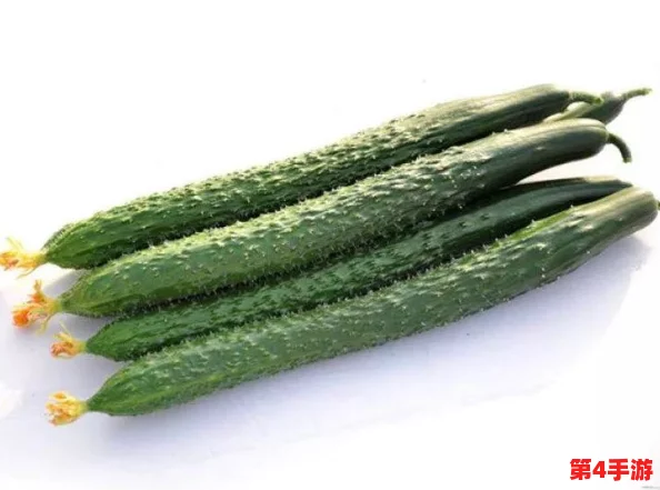 草莓樱桃丝瓜秋葵榴莲黄瓜大全：多样水果与蔬菜的营养价值及其在饮食中的重要性分析