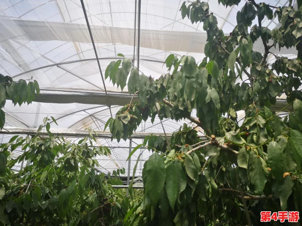 有一根又黑又硬的物体引发了人们的好奇，究竟它是什么？背后隐藏着怎样的故事和用途呢？