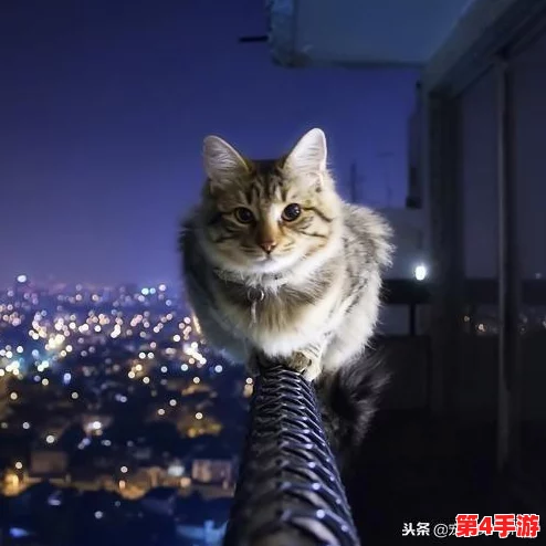 探索《地下城与勇士》中，最迷人的萝莉角色时装搭配：哪款设计让你爱不释手？
