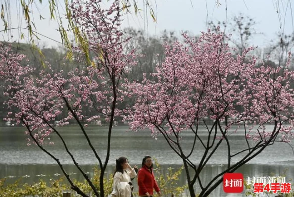 桃花洞口已是溪水潺潺,春日暖阳下游客纷至沓来感受自然之美 桃花洞口已是溪水潺潺,春日暖阳下游客纷至沓来感受自然之美