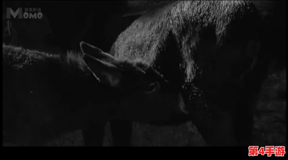 小毛驴影视在线观看,让您享受无限精彩影视,畅看热门影视作品的最佳选择! 小毛驴影视在线观看,让您享受无限精彩影视,畅看热门影视作品的最佳选择!