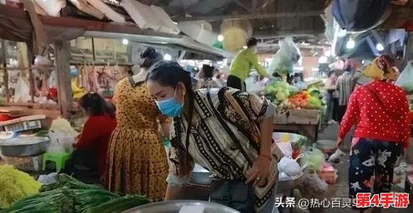 缅北前四后八怎么玩：2024年热门玩法与技巧全解析，助你畅游缅甸北部的精彩旅程
