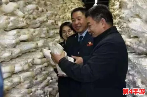 日产久久：探寻持久动力与创新科技的完美结合之路