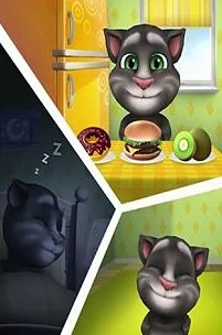 汤姆视频的最新网名tom，用户评价：创意十足，内容丰富，让人爱不释手！