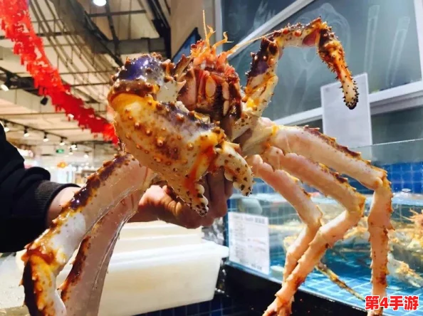 鲍鱼直播：海鲜美食新风潮，带你领略舌尖上的奢华体验与烹饪技巧分享