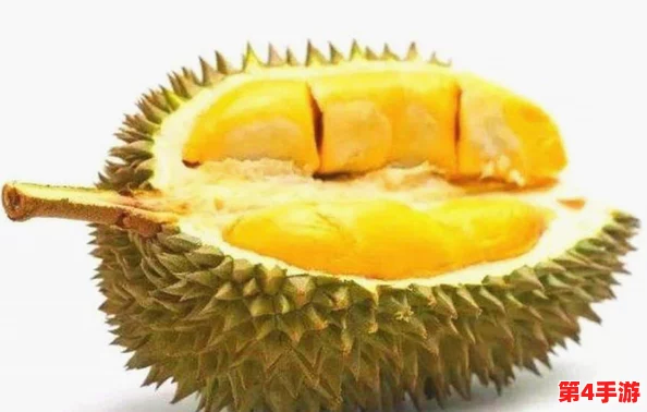 2024年最热话题：黄色榴莲视频引发的美食潮流与社交媒体挑战